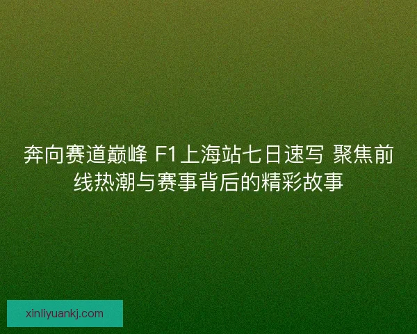 奔向赛道巅峰 F1上海站七日速写 聚焦前线热潮与赛事背后的精彩故事